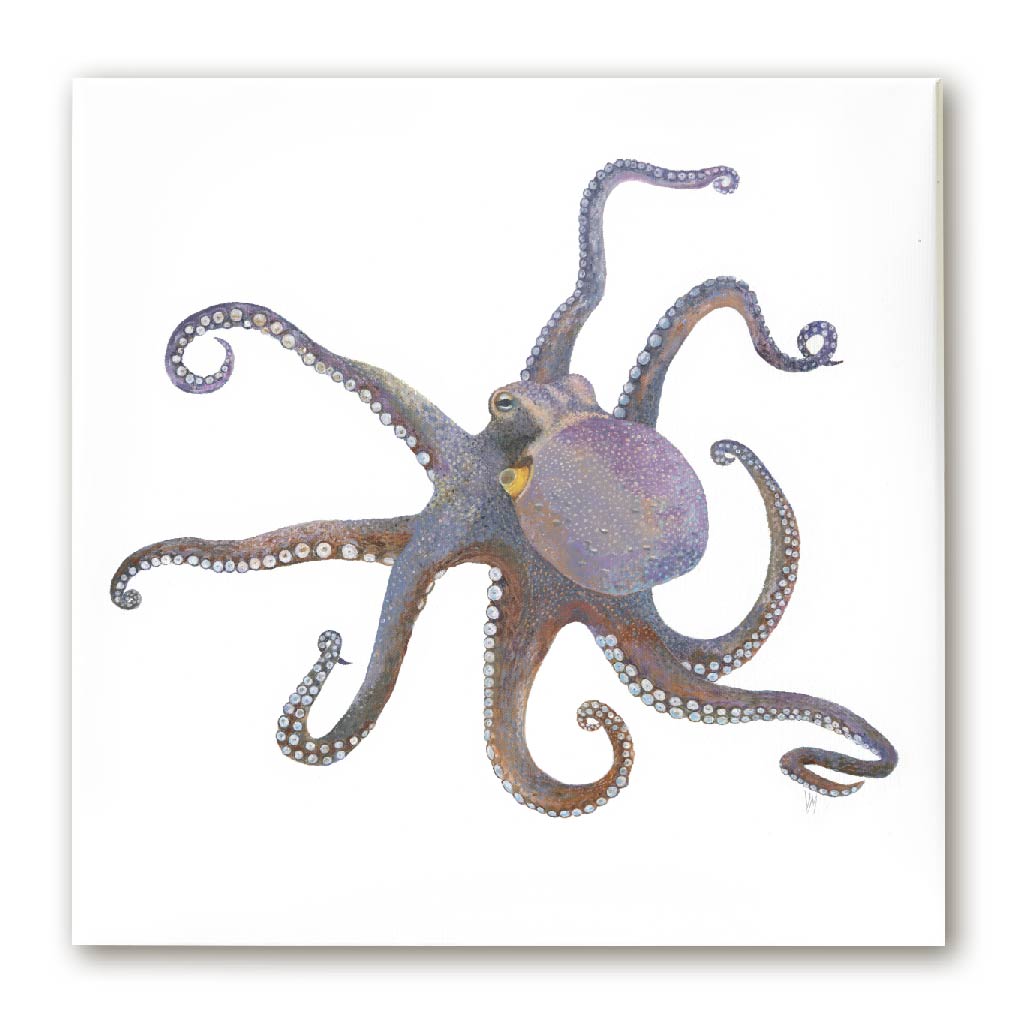 Premium Leinwand Oktopus