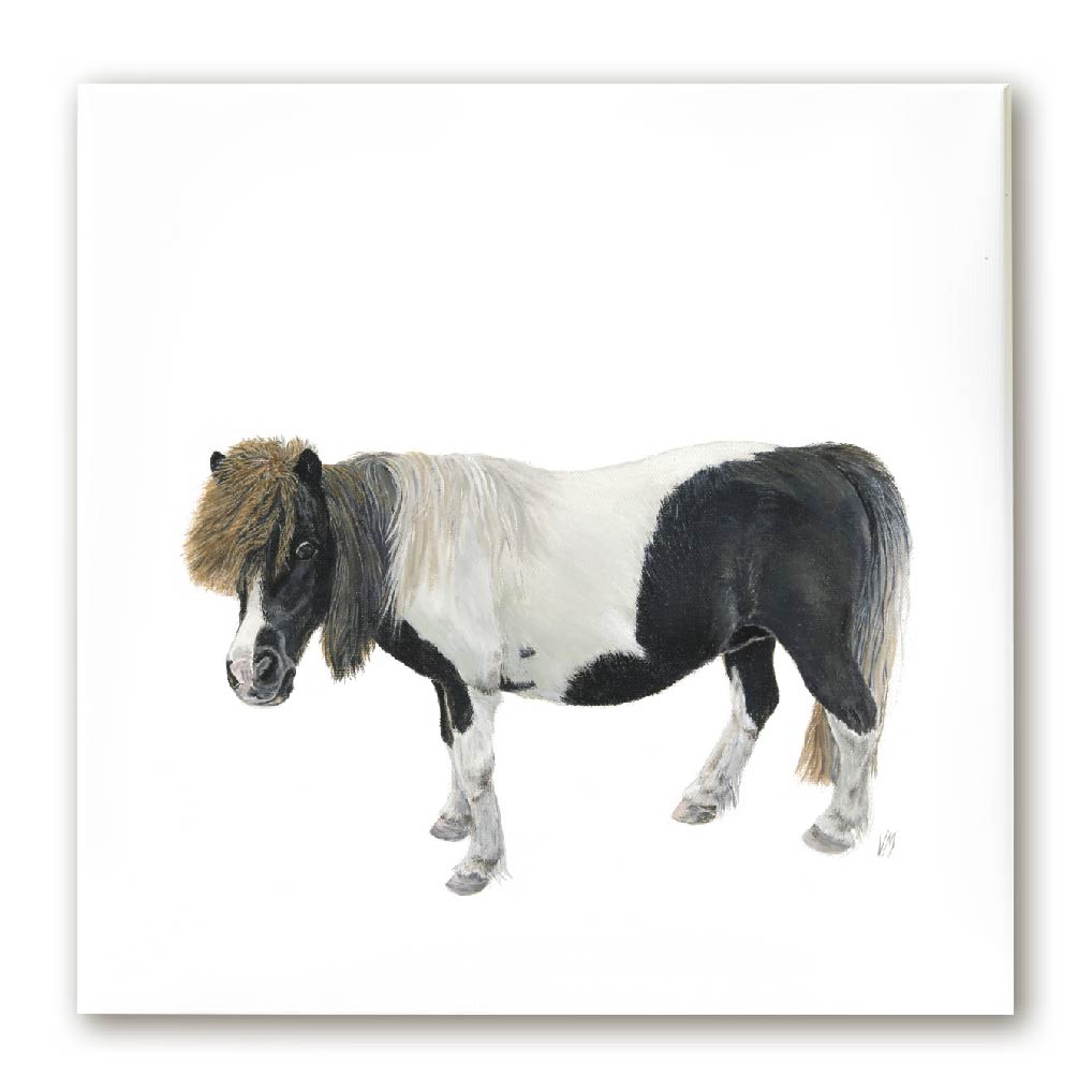 Premium Leinwand PONY