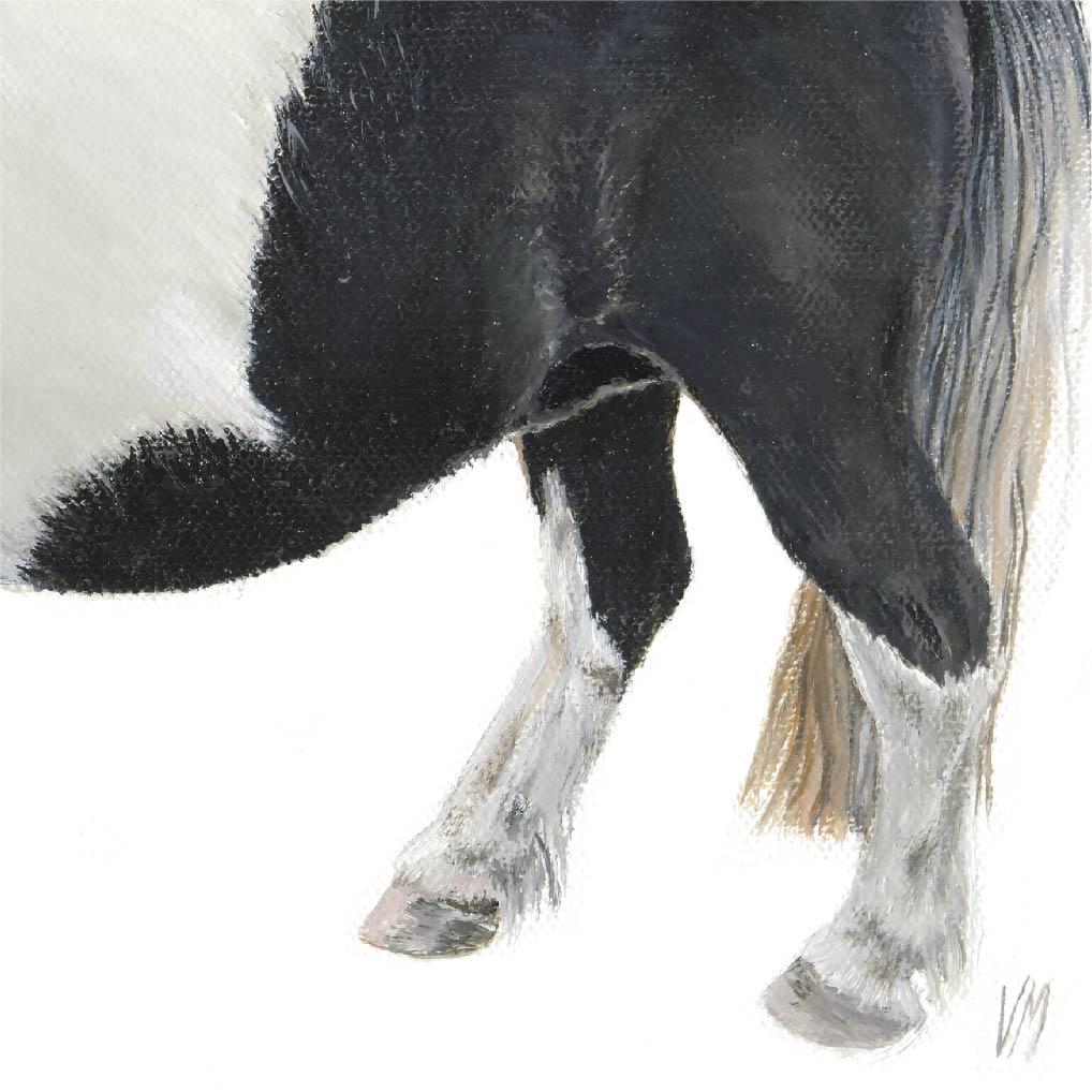 Premium Leinwand PONY