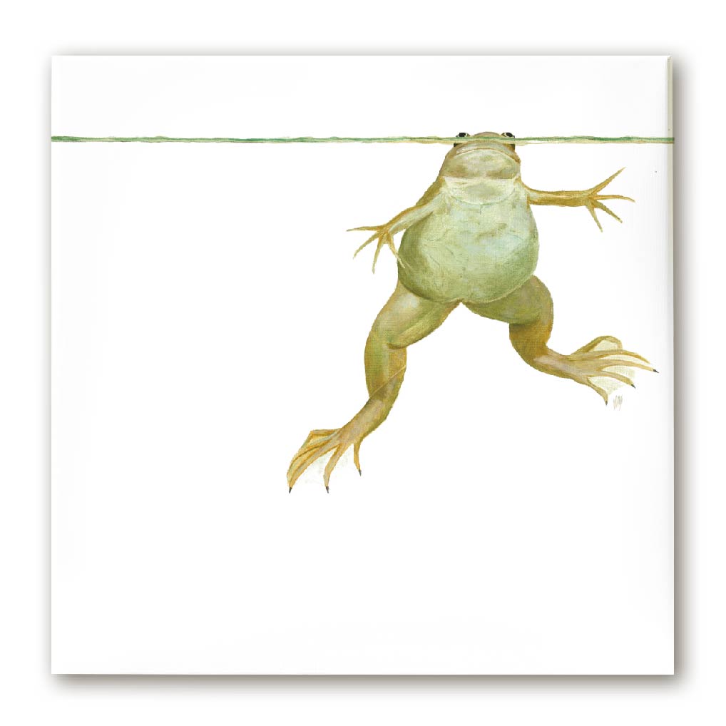 Premium Leinwand XENOPUS (FROSCH)