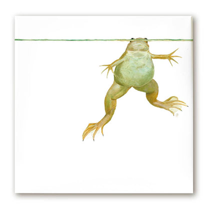 Premium Leinwand XENOPUS (FROSCH)