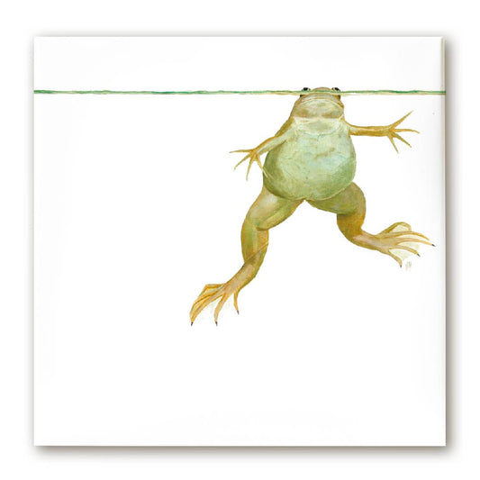 Premium Leinwand XENOPUS (FROSCH)