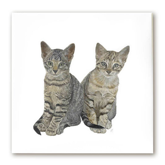Premium Leinwand KATZEN