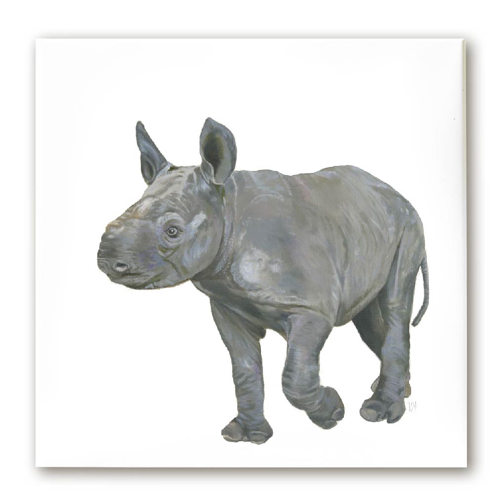 Premium Leinwand NASHORN