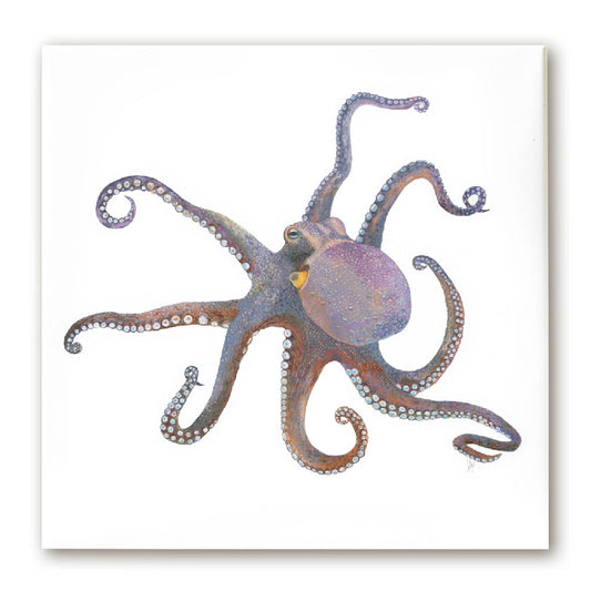 Premium Leinwand Oktopus