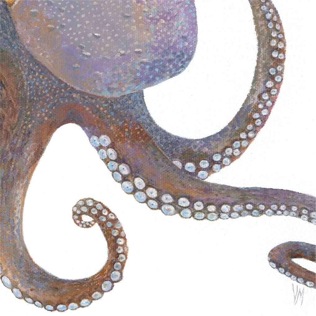 Premium Leinwand Oktopus
