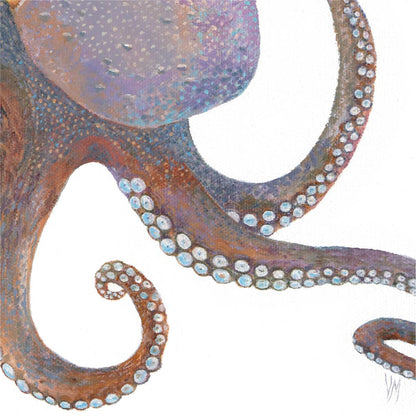Premium Leinwand Oktopus