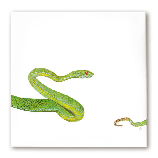 Premium Leinwand VIPER (SCHLANGE)