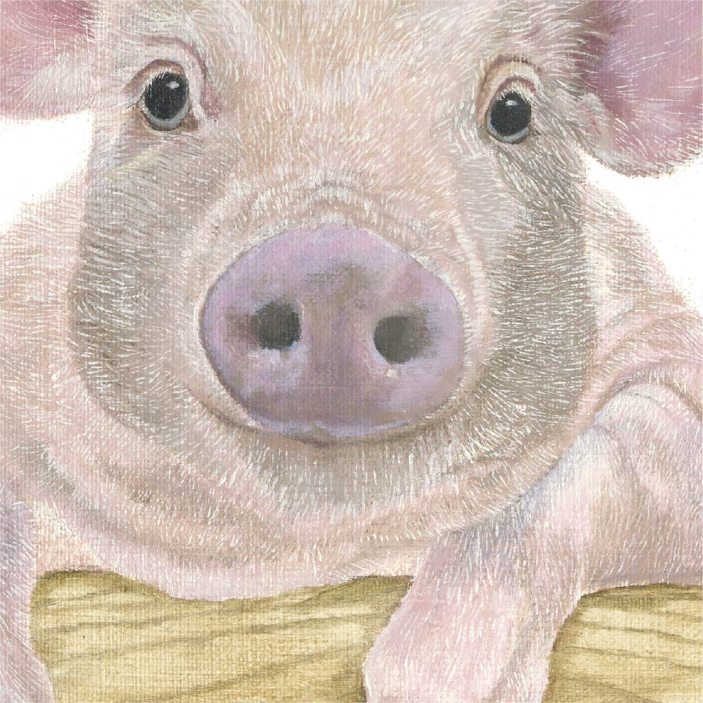 Premium Leinwand SCHWEIN