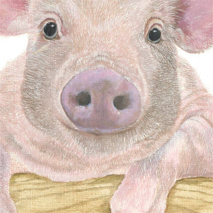 Premium Leinwand SCHWEIN
