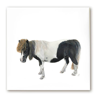 Premium Leinwand PONY