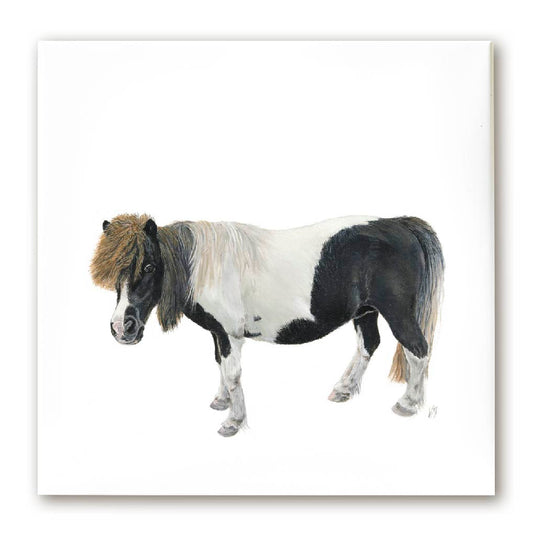 Premium Leinwand PONY