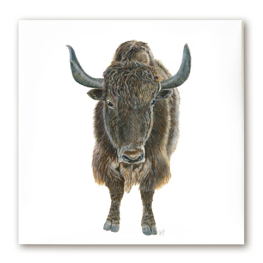 Premium Leinwand YAK
